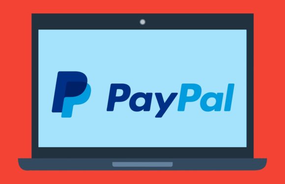 CEO Of PayPal Says Cryptocurrency Efforts Are Accelerating the Firm’s Earnings
