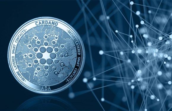 Cardano’s First Decentralized App Encounters Severe Congestion After Release
