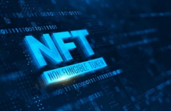 Alpha Whale Announces The Creation Of The First NFT Hedge Fund For Its Community