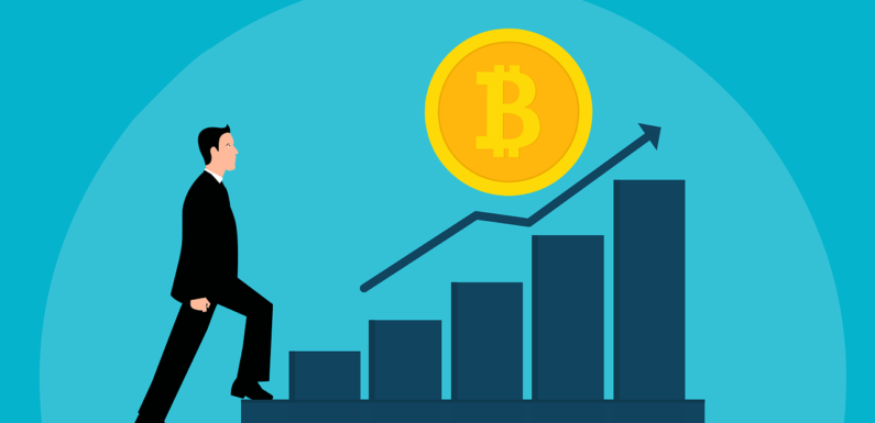 Many Bullish Factors Contribute to Current Bitcoin Rally