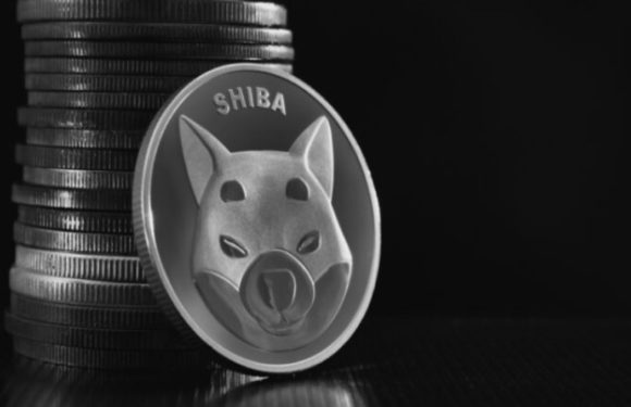 Massive Activity Recorded In Shiba Inu Whale Addresses Amid Sell-Off