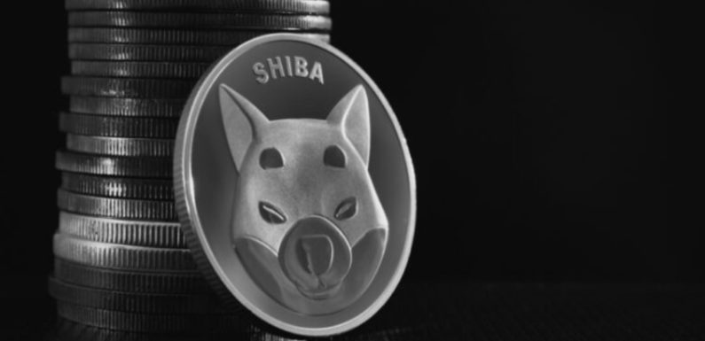 Massive Activity Recorded In Shiba Inu Whale Addresses Amid Sell-Off