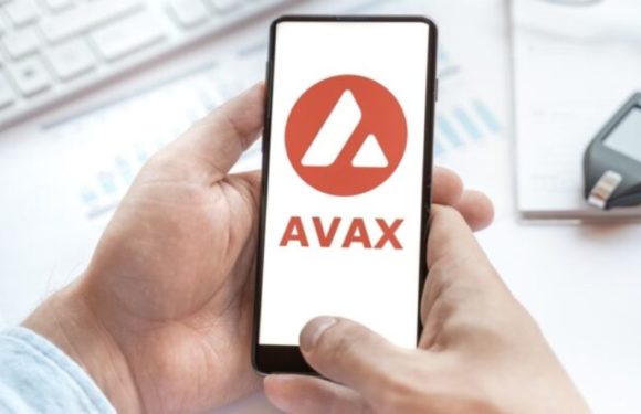 $AVAX: Coin Bureau Discusses Why It Went Bullish on ETH Competitor Avalanche