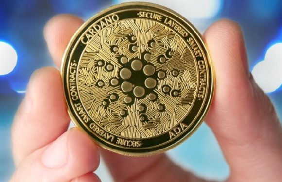 Cardano-Established Project Revuto Reveals New Staking Pool for Yield Genius (GENS) Rewards