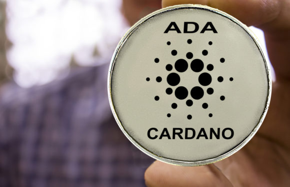 Cardano May Overtake Bitcoin In Terms Of Capital Gains