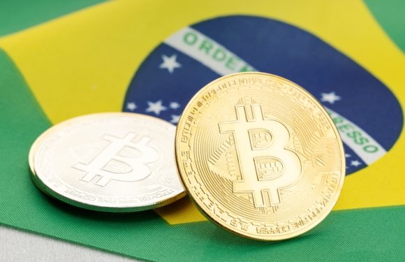Brazilian Authorities Believe In Future Stability Of Crypto