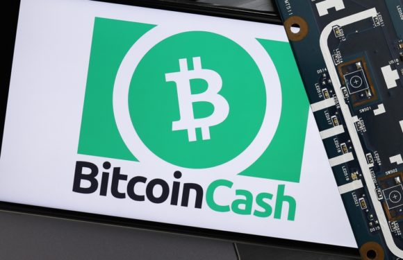 BCH Price Hits A New High While MATIC Continues To Witness A Decline
