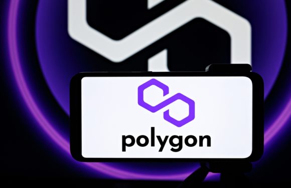 MATIC Traders Record Profits As Polygon Rises By 50% In The Month